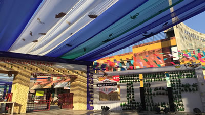 India Environment Festival